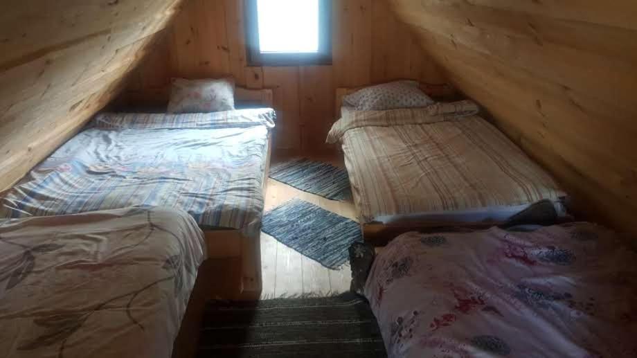 Oksa Puhkemaja Guest House Võru Екстериор снимка